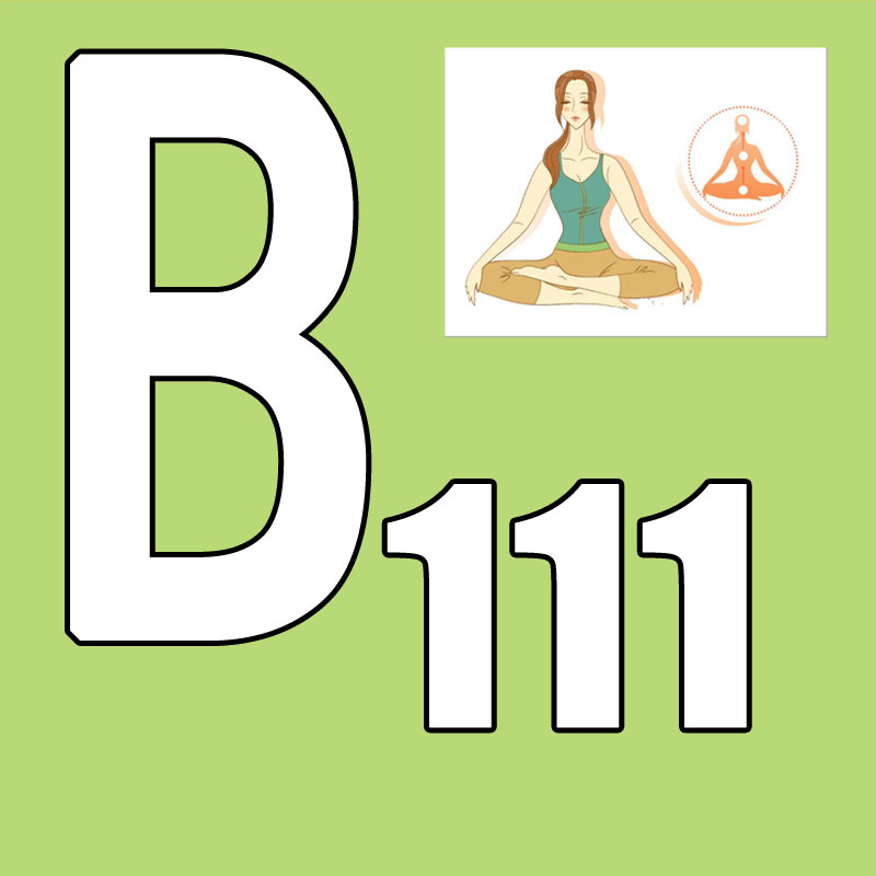 Yoga Fitness Group - Promoção Quente: Lançamento Mais Recente 2026.Q1