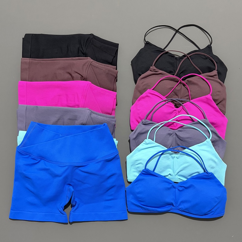 Yoga Fitness Top - 2 peça visão ginásio conjunto feminino