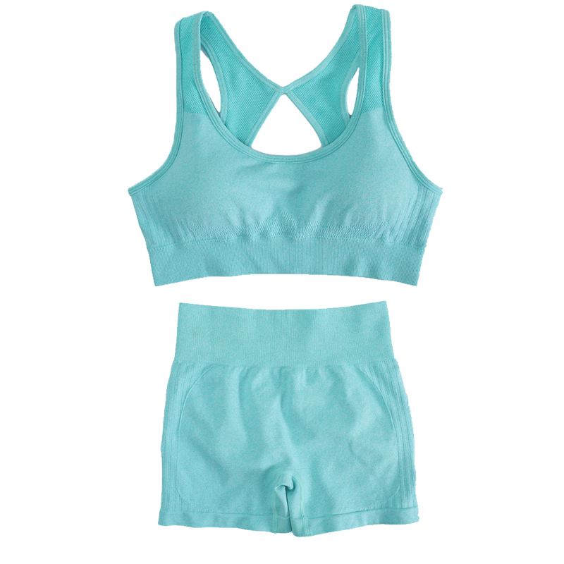 Conjunto de Roupa de Yoga Femi - Yoga Fitness Top avaliação e preço