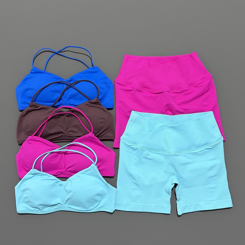 2 peça visão ginásio conjunto  - Yoga Fitness Top avaliação e preço